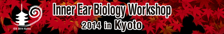 Inner Ear Biology Workshop 2014 in Kyoto